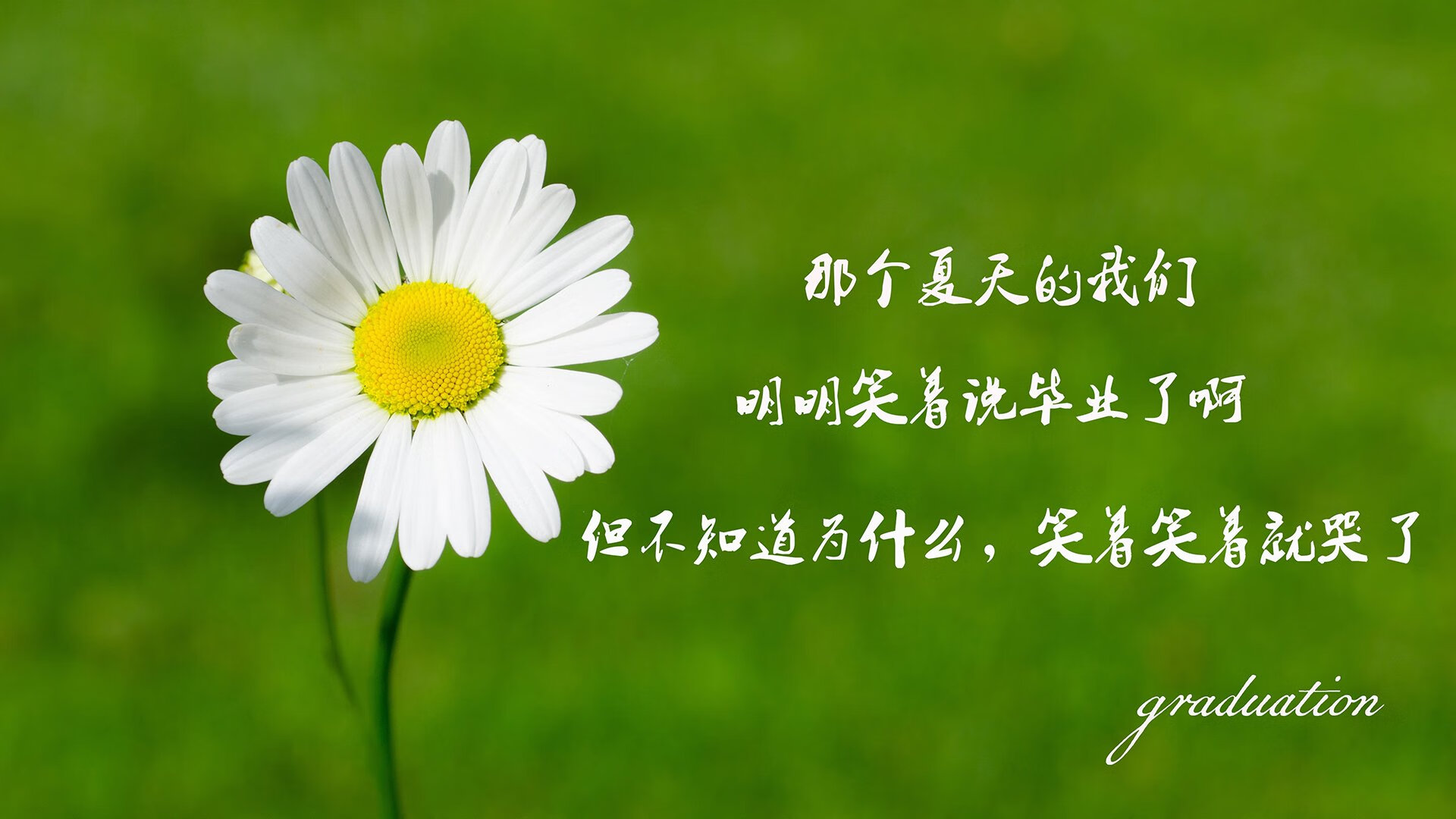 开云体育app下载-意甲青训体系引入心理韧性提升训练的实证研究，意甲各队训练营