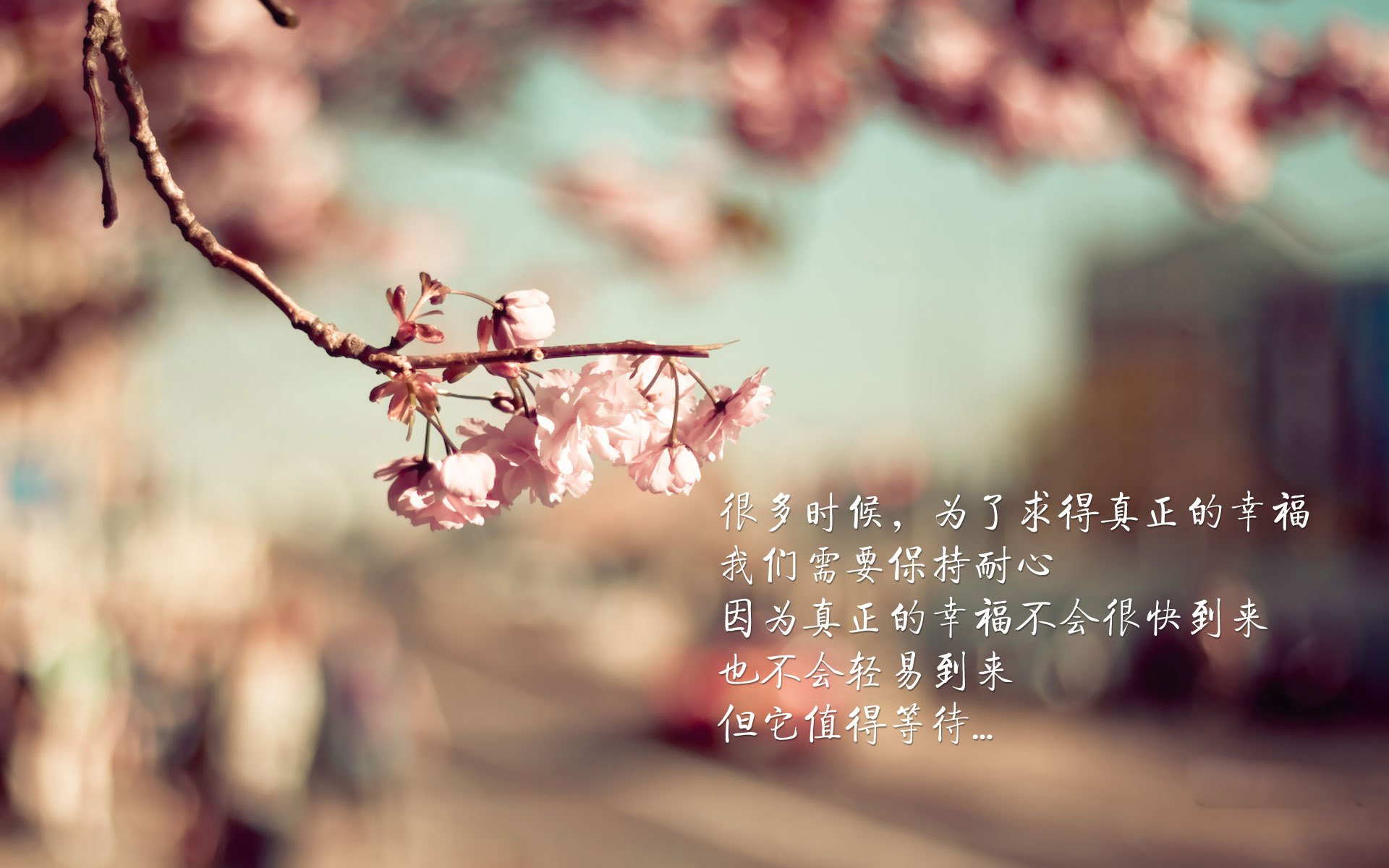 开云体育平台-运动心理干预对竞技状态波动的调节机制，运动心理学中竞技运动领域