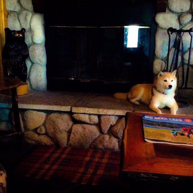 开云体育在线下载-USMA 在杯赛决赛 71–69 战胜 WO Boufarik 创纪录首冠，usaco赛制