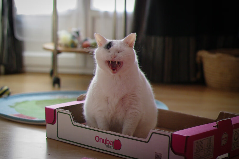 开云体育在线-世界乒乓锦标赛赛制改革,引发全球关注,世界乒乓球锦标赛共设( )赛事 第1张 开云体育在线-世界乒乓锦标赛赛制改革,引发全球关注,世界乒乓球锦标赛共设( )赛事 第1张