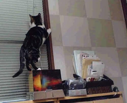 开云体育入口-奥预赛中国女足夺冠 悬念之战扣人心弦,中国女足2020奥运会预选赛视频 第2张 开云体育入口-奥预赛中国女足夺冠 悬念之战扣人心弦,中国女足2020奥运会预选赛视频 第2张