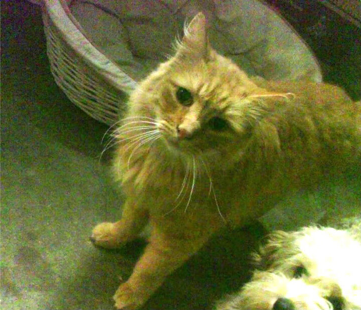 开云体育app注册-电竞比赛场地布置更具科技感提升沉浸体验，电子竞技场地