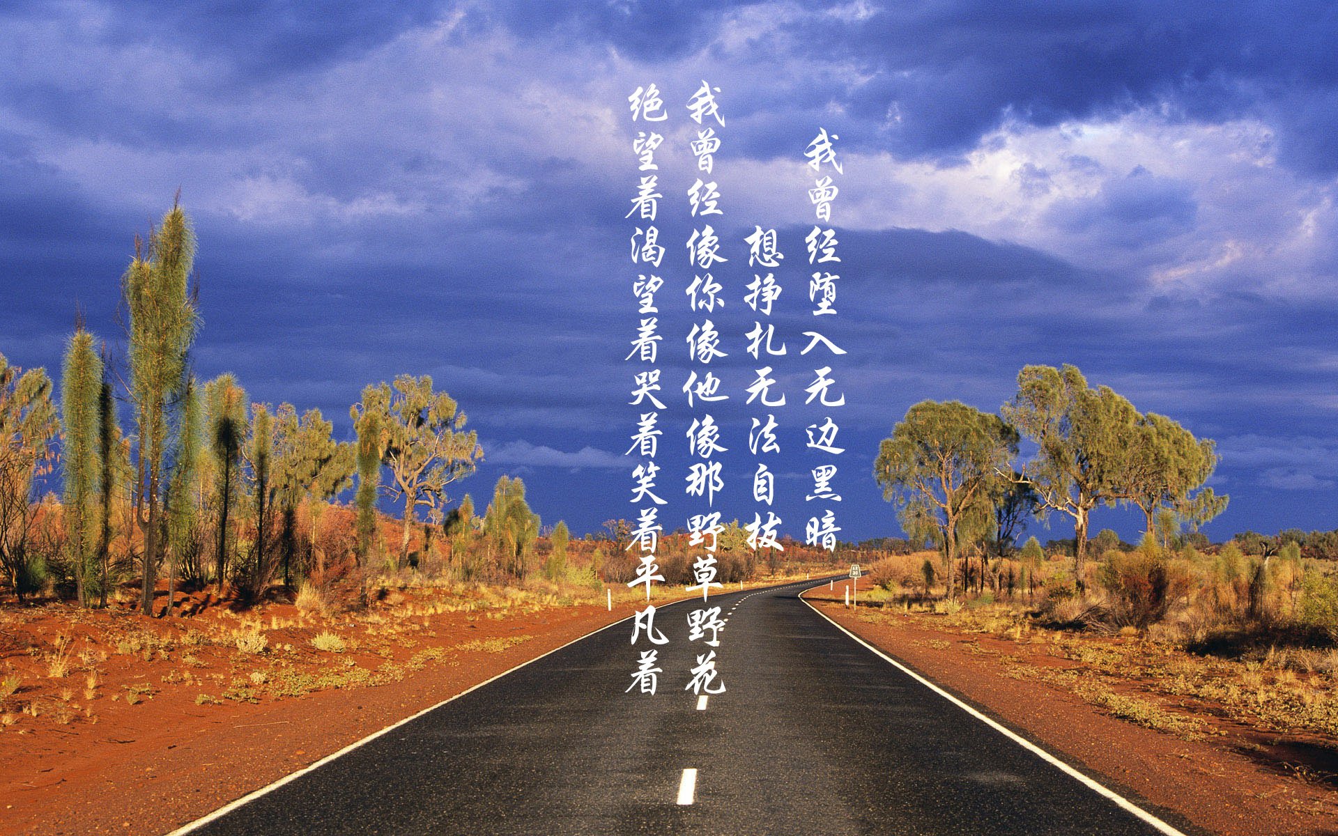 开云体育app在线-赛场上的“黑马”：不容忽视的乒乓新秀