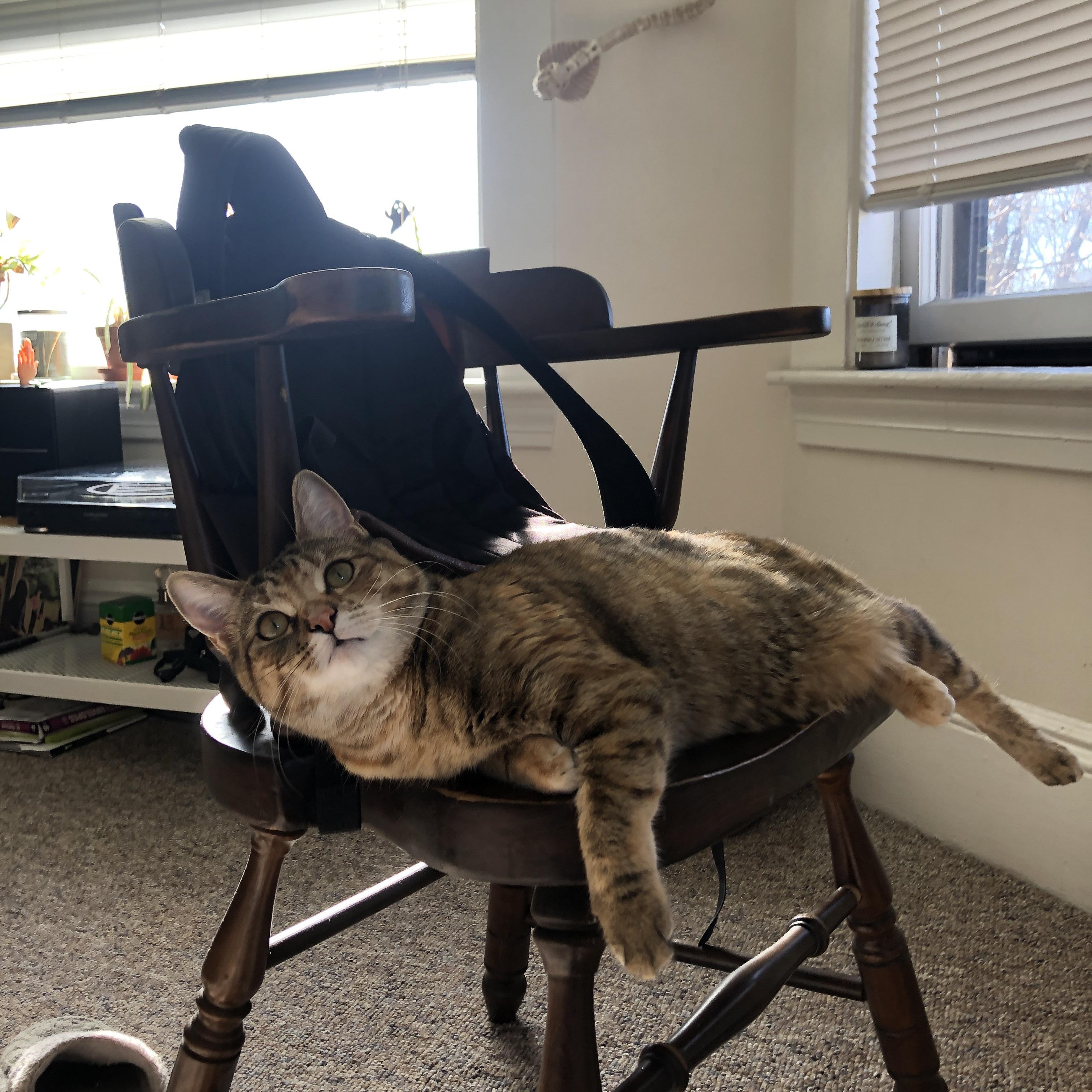 开云体育app在线-赛场上的“黑马”：不容忽视的乒乓新秀