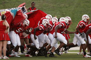 开云体育娱乐-青少年体育俱乐部认证标准出台，国家级青少年体育俱乐部要求