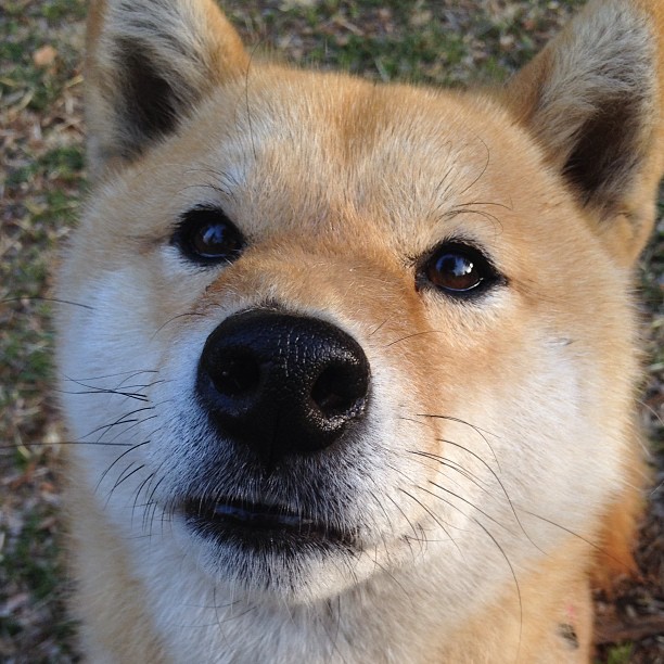 开云体育在线入口-世界杯最后一分钟的绝杀瞬间，世界杯决赛最后一球
