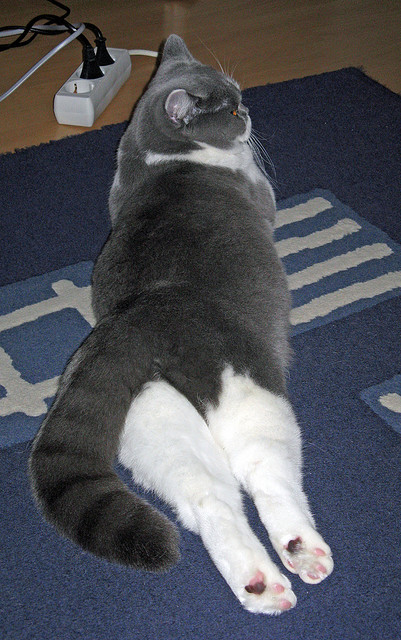 开云体育在线官网-卢旺达女篮在国际舞台上崭露头角,体育水平持续提升