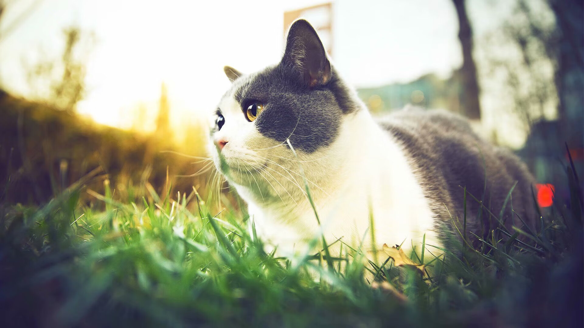 开云体育在线官网-库里担任青少年篮球夏令营总教练,库里初中联赛