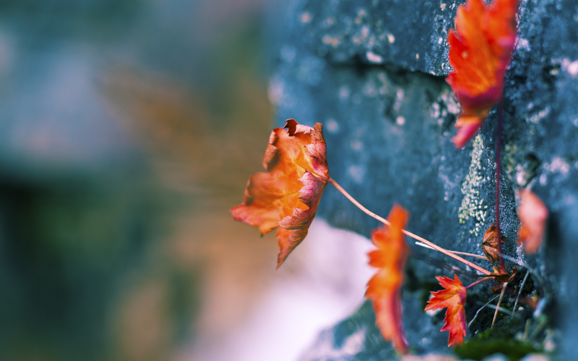 开云体育平台-德甲攻防战:精彩瞬间层出不穷,德甲榜首大战