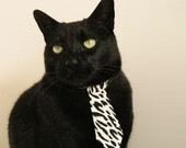 开云体育app官网-朱婷与外援配合默契逐渐形成默契,朱婷当外援