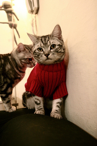 开云体育官网app-林丹亲笔信致谢多年陪伴球迷支持,林丹承认