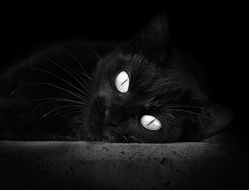 开云体育app-欧洲杯变阵频繁:战术多变引领新趋势!,欧洲杯变盘分析