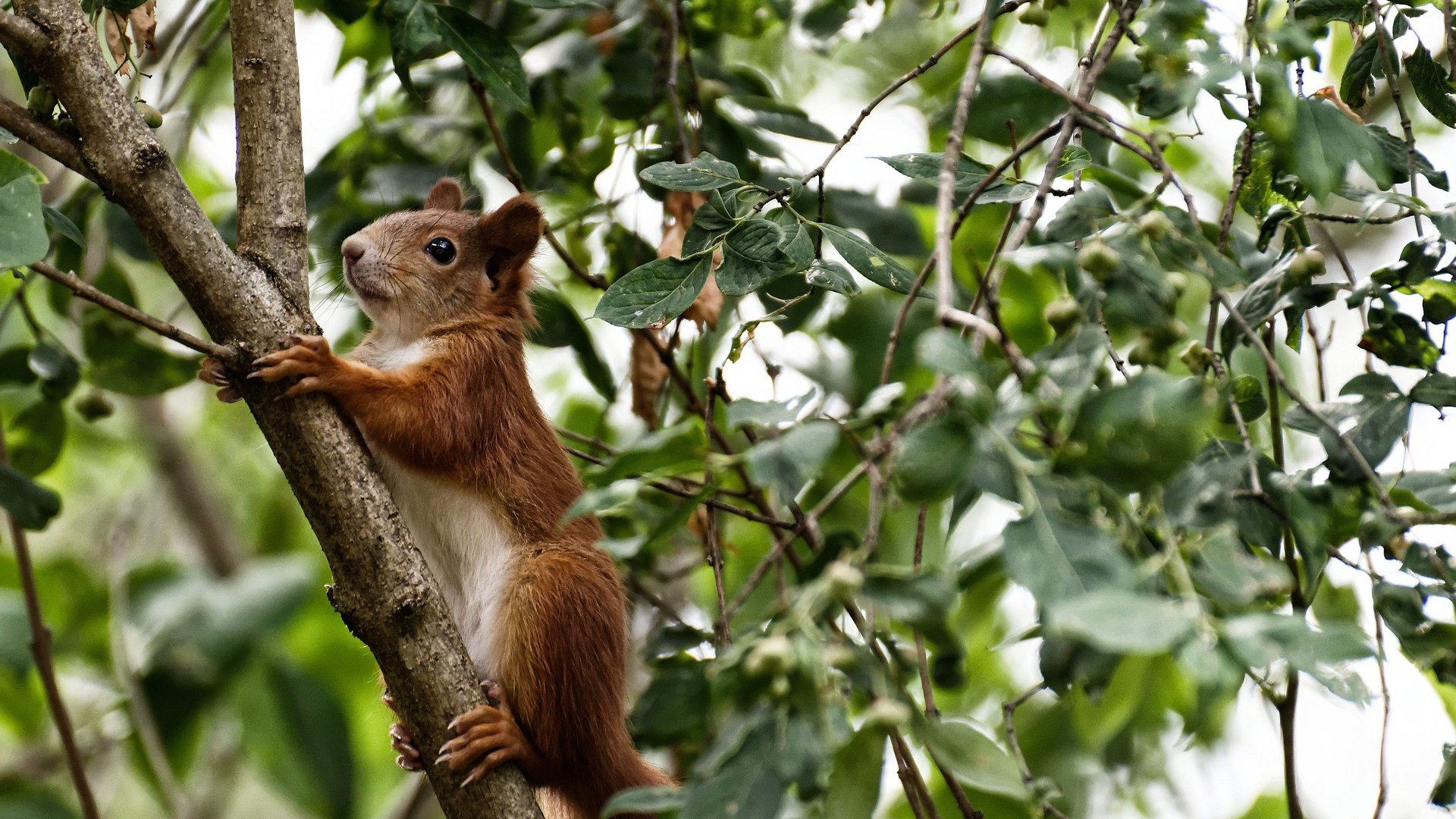 开云体育app在线-男篮青年队采用集中住宿制度强化纪律意识,男篮入住酒店接待方案