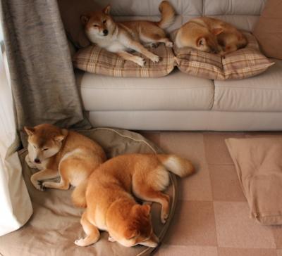 开云体育官网登入-西甲高手对决:突破、助攻、精彩无极限!,西甲如何决出冠军