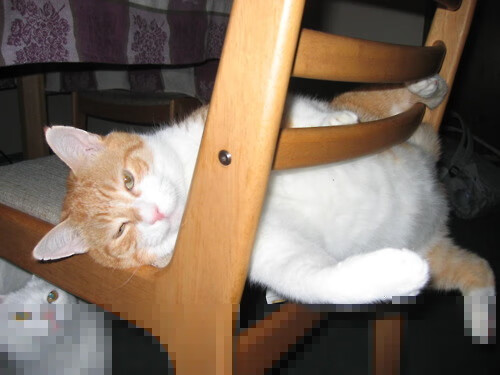 开云体育在线登入-中国篮球改革新政对CBA联赛质量提升的作用,中国篮球改革的现状