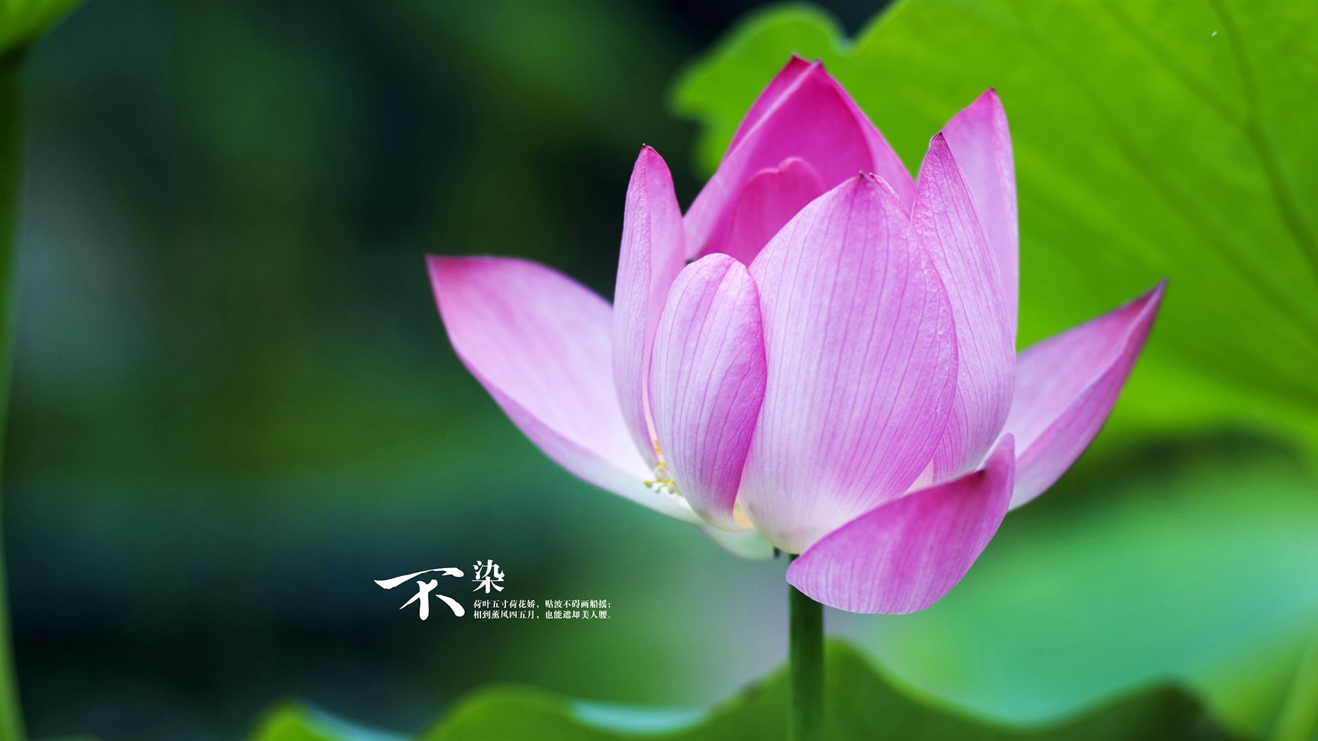 开云ky官网-中国足球青少年足球活动覆盖农村及城市,中国青少年足球训练基地